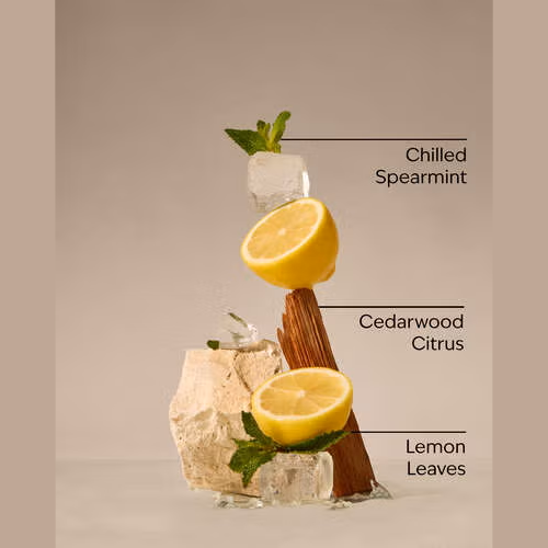B&BW Fresh Amalfi Lemon