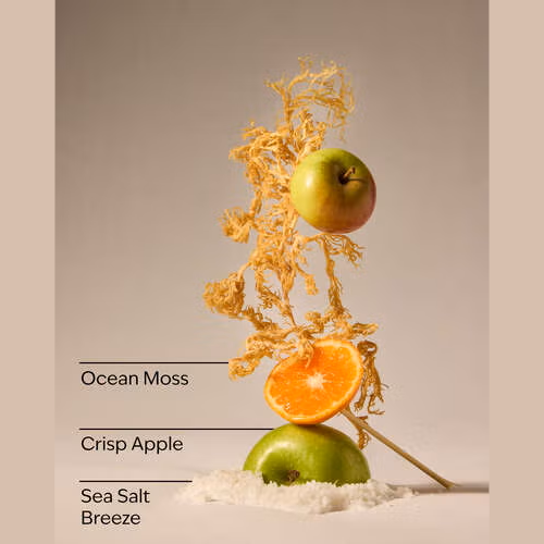 B&BW Marine Waves & Citrus