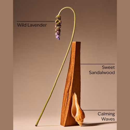 B&BW Oceanside Lavender